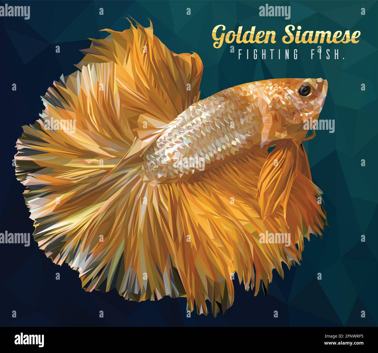 Low Polygon Vektor Illustration Zeichnung von Betta oder Simese kämpfen Fisch. Stock Vektor