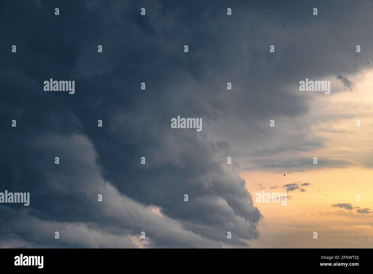 Vögel fliegen neben einer riesigen Sturmwolke Stockfoto