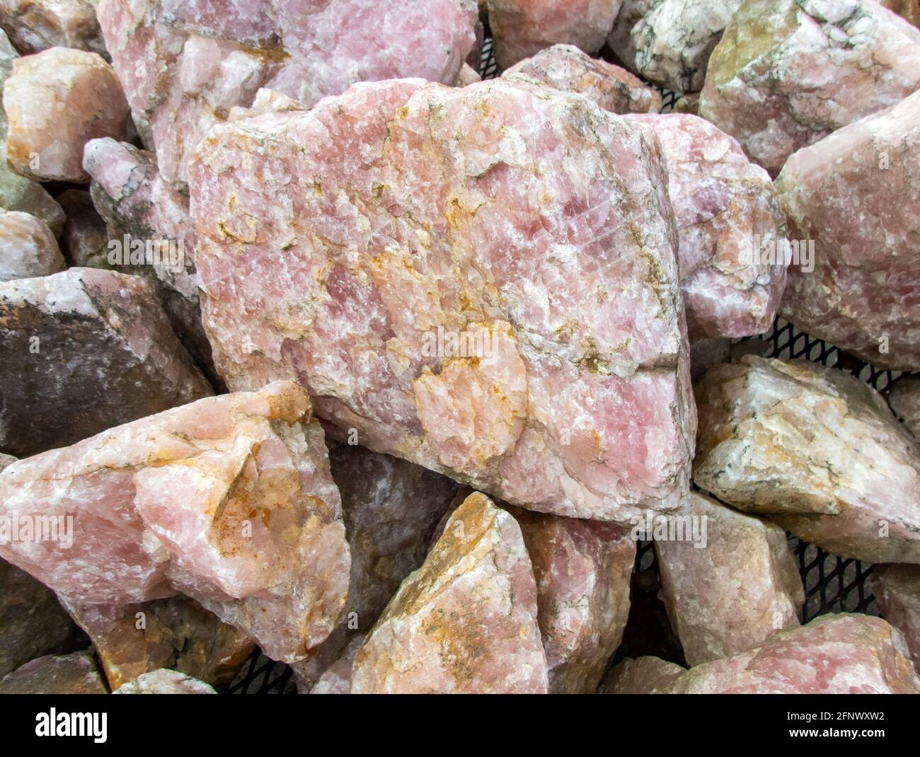 Der wunderschöne Rosenquarz ist eine reizvolle Sammlung oder ein Exemplar für den Mineralogen, um den leichten Bokeh-Effekt zu studieren. Stockfoto