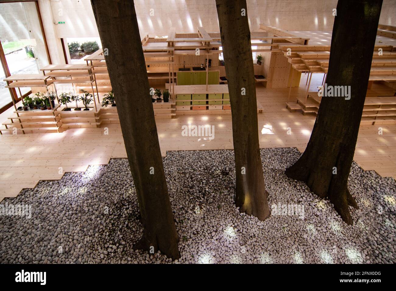 Venedig, Italien. Mai 2021. Besucher genießen den norwegischen Pavillon auf der Architekturbiennale Venedig 2021 „wie werden wir zusammen leben?“ Während der Pressvorpremiere am 19. Mai in Venedig, Italien. Die Architekturbiennale von Venedig wird nach der Pandemie für Coivd-19 vom 22. Mai bis 21. November für die Öffentlichkeit zugänglich sein. © Simone Padovani / Alamy Live News Stockfoto