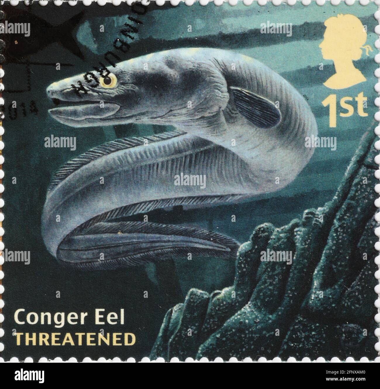Conger Aal auf britischer Briefmarke Stockfoto