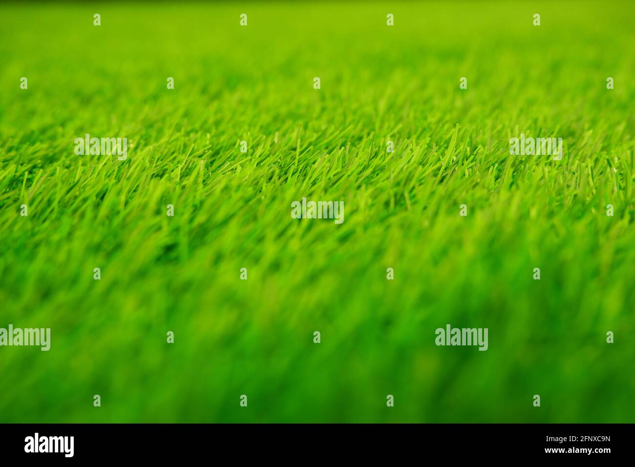 Solide Hintergrund von grünem Rasen Gras auf dem Fußballfeld. Stockfoto