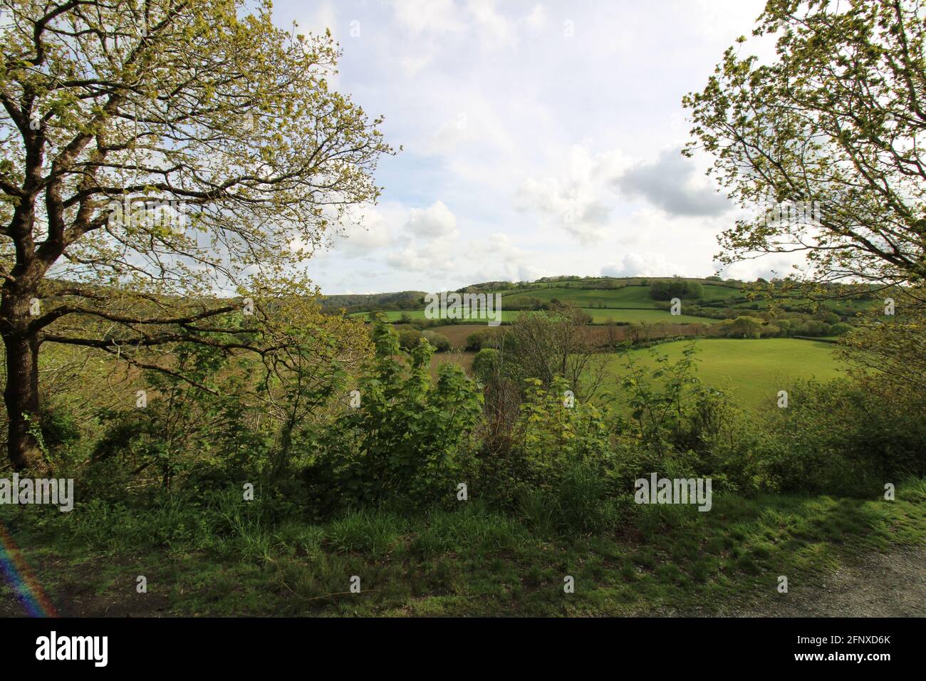 Spazieren Sie durch die atemberaubende Natur der Region North Devon Stockfoto