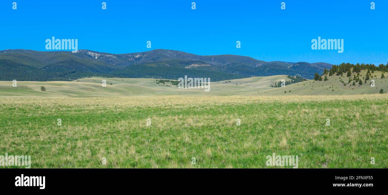 Panorama des weiten Rangelands unterhalb der john Long Berge in der Nähe von Hall, montana Stockfoto