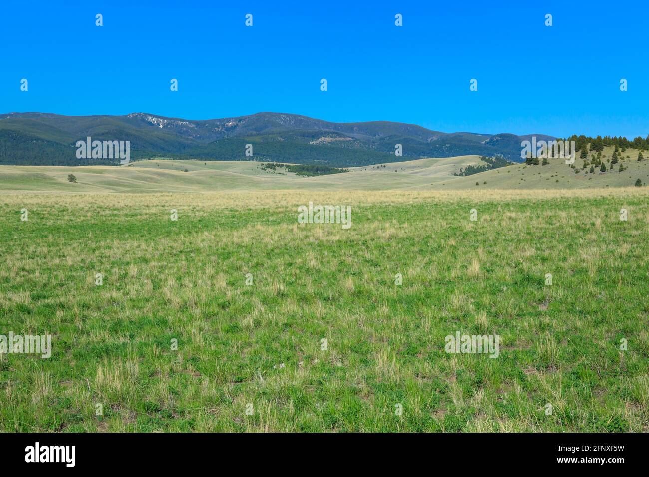 Ausgedehntes Rangeland unterhalb der john Long Berge in der Nähe von Hall, montana Stockfoto
