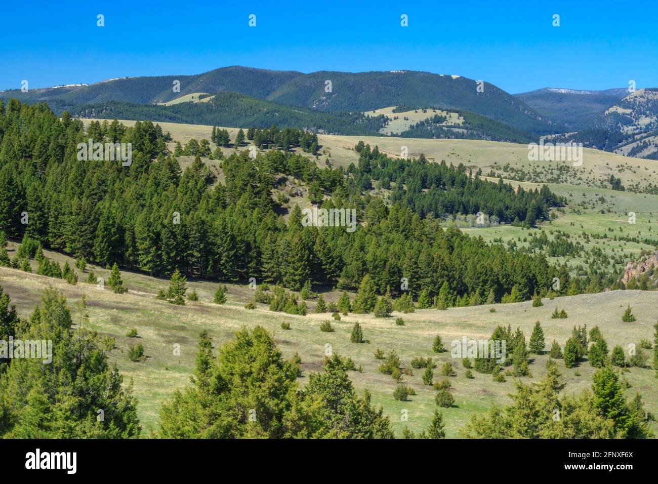 john Long Mountains über den Ausläufern in der Nähe von maxville, montana Stockfoto