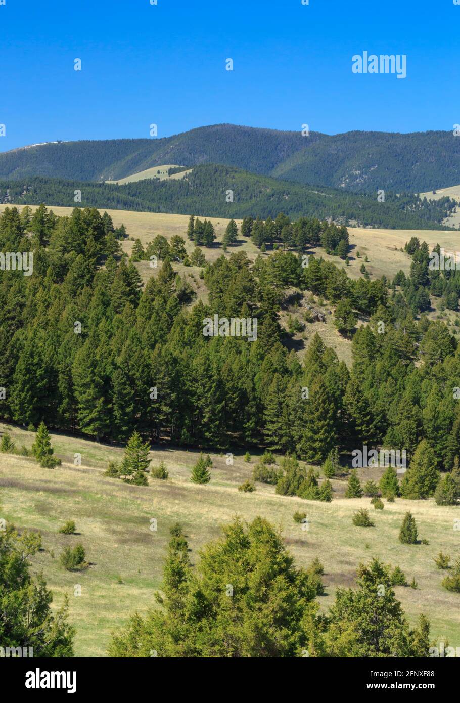 john Long Mountains über den Ausläufern in der Nähe von maxville, montana Stockfoto