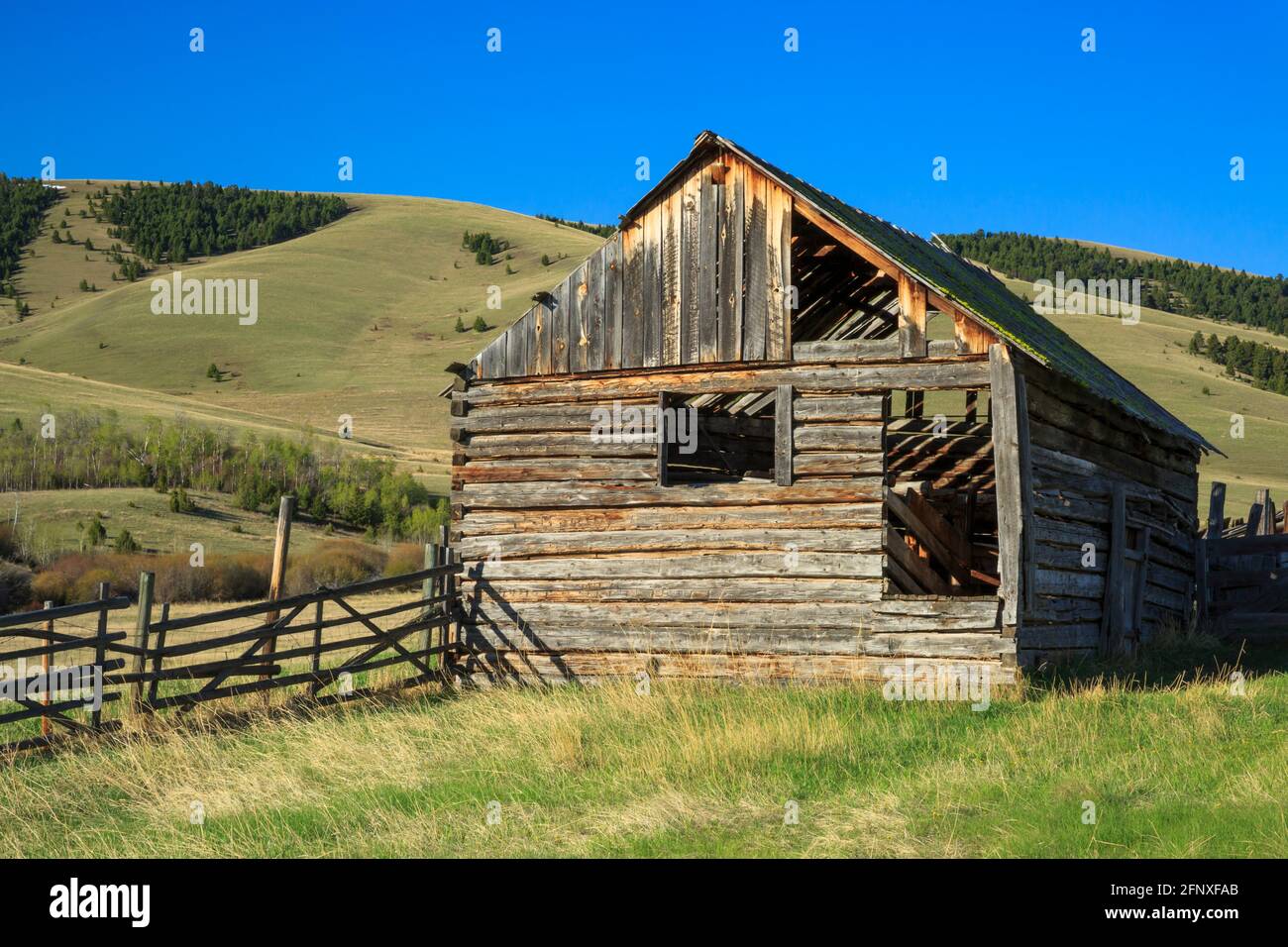 Alte Scheune unter den john Long Bergen in der Nähe von Hall, montana Stockfoto