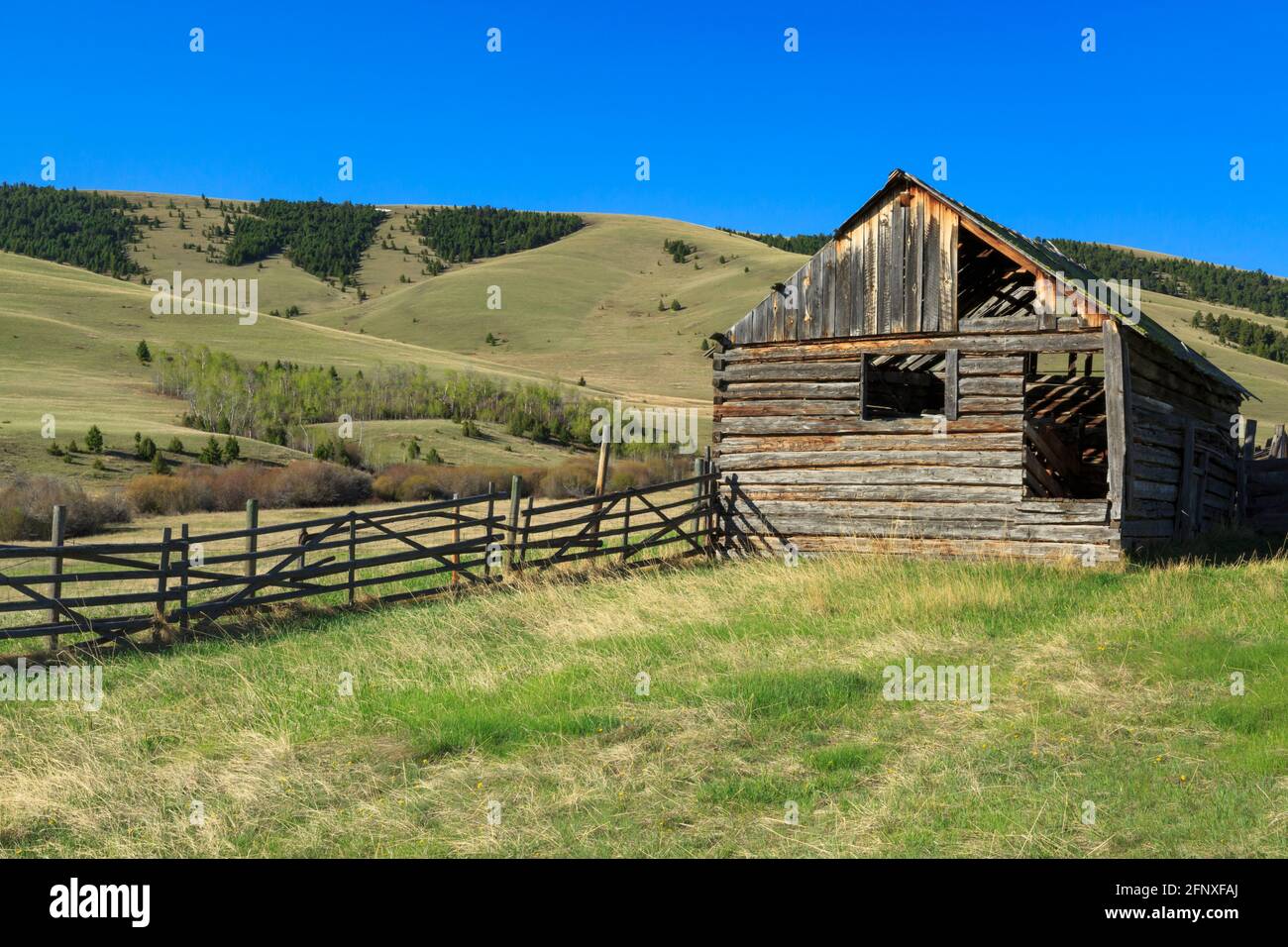 Alte Scheune unter den john Long Bergen in der Nähe von Hall, montana Stockfoto