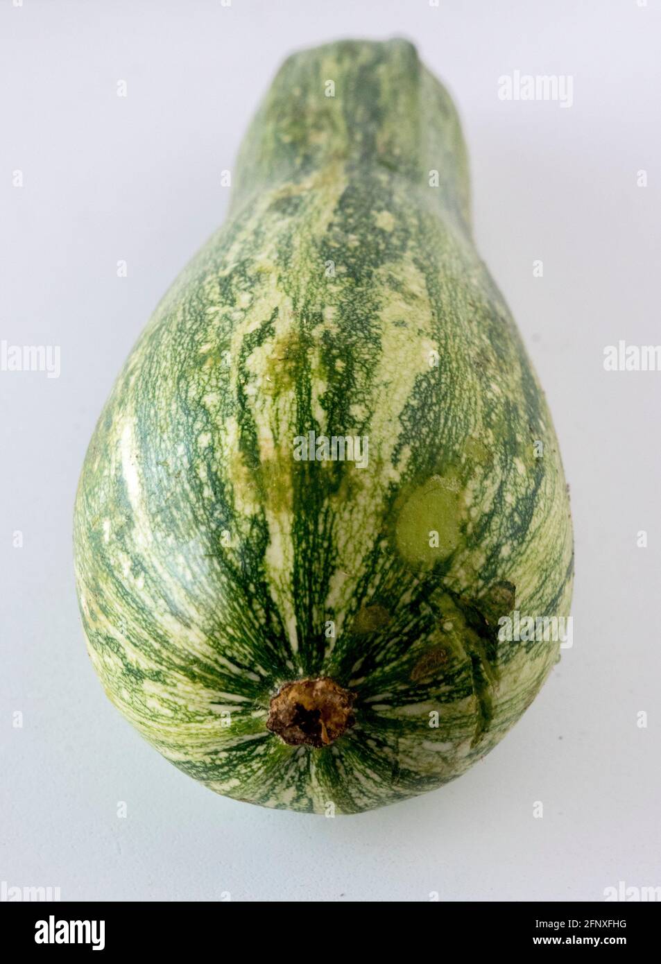 Zucchini Stockfoto