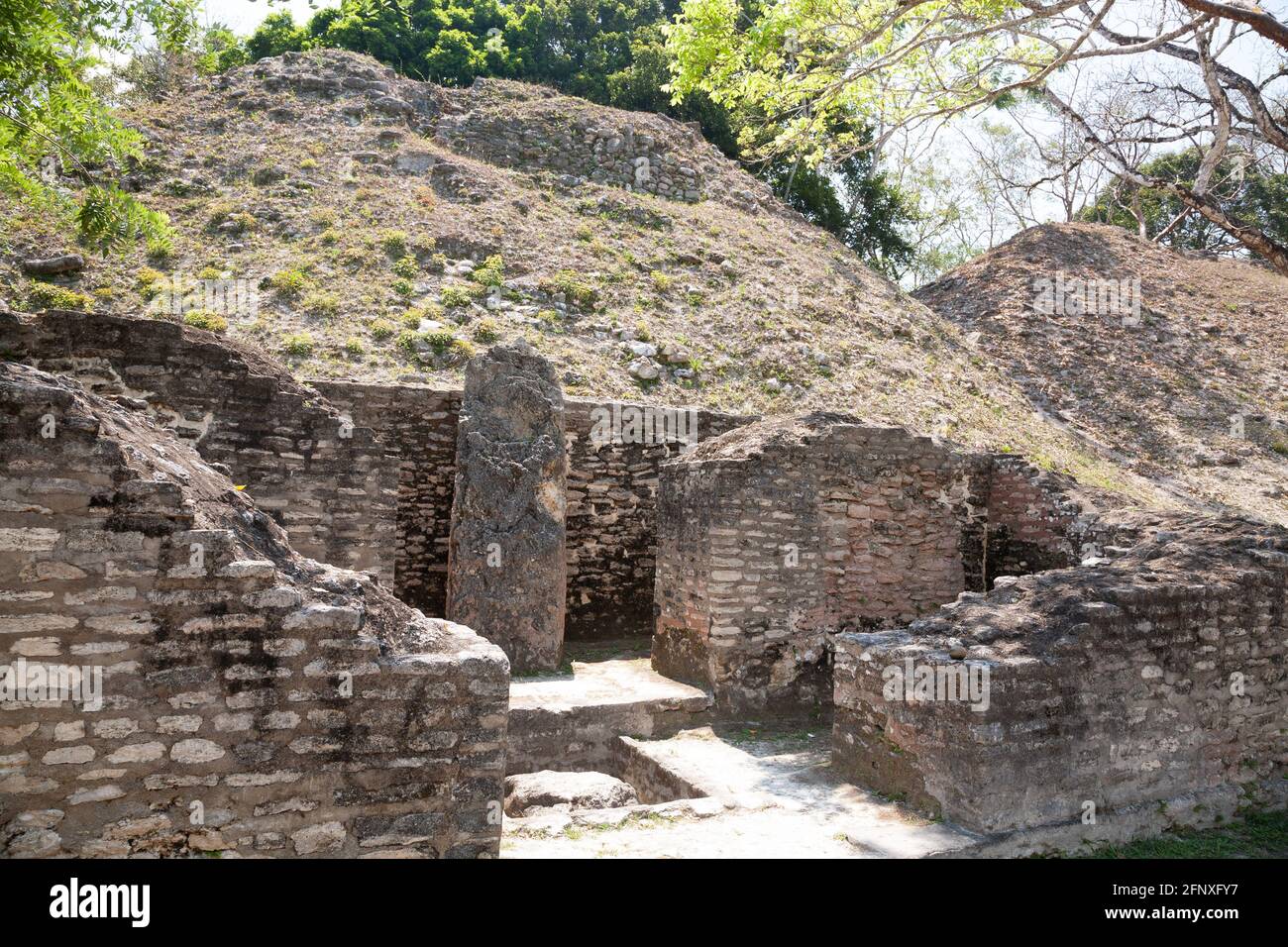 Die Maya-Ruinen in Xunantunich, Belize Stockfoto