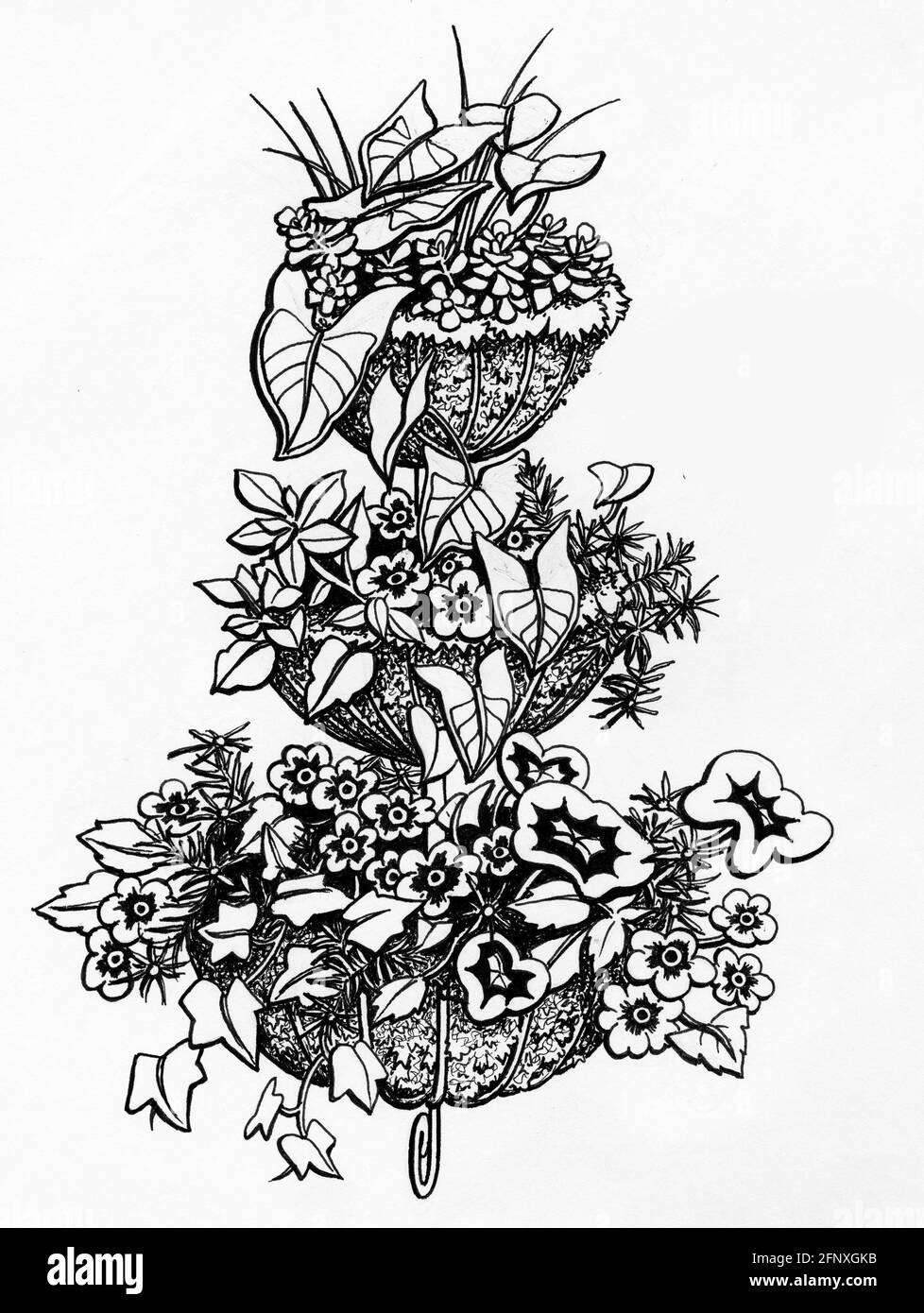Eine Zeichnung eines fertig gestellten dreistufigen Pflanzgefäßes mit Sphagnum Mooseinlagen und blühende Pflanzen Stockfoto