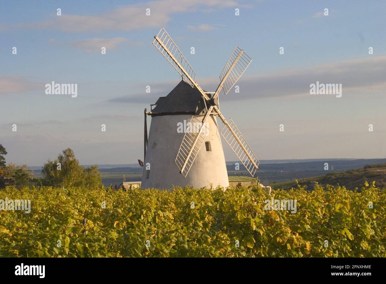 Windmühle Retz, Österreich, Niederösterreich, Retz Stockfoto