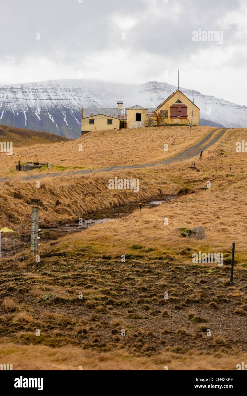 Grasbewachsenes Ackerland mit Auffahrt führt zu einem Haus mit einem Blauer Berg verschneite Kulisse in Island Stockfoto