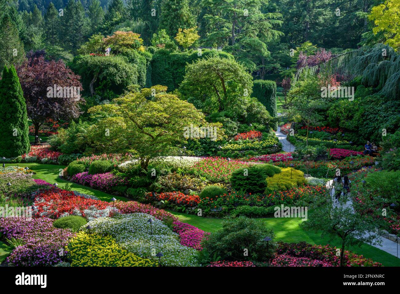 Die berühmten Butchart Gardens auf Vancouver Island in British Columbia, Kanada. Stockfoto
