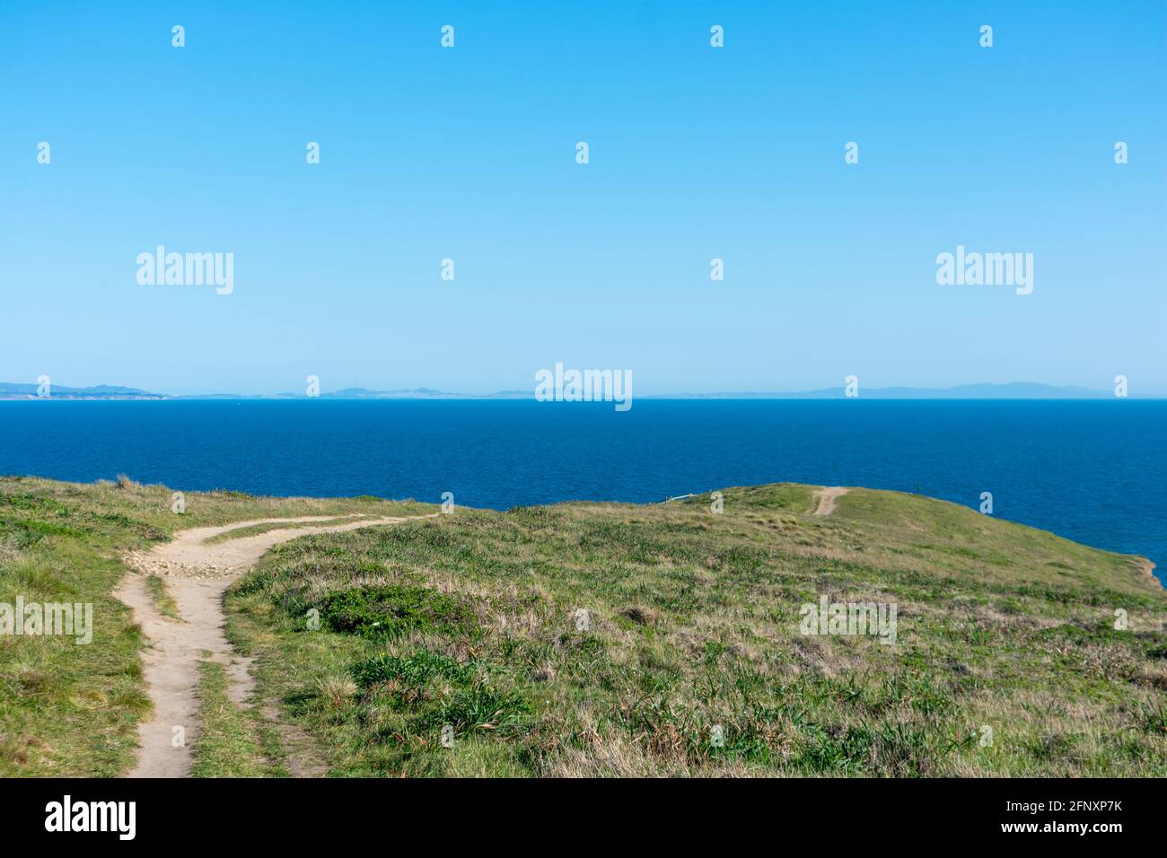 Unbefestigter Wanderweg auf Point Reyes Headlands in Richtung Chimney Rock Mit wintergrünem Gras, das Klippen und Steilküsten am Punkt bedeckt Reyes National Seashore Stockfoto