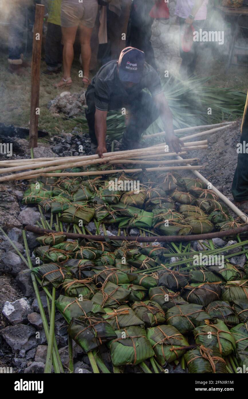 El pibipollo es un gran tamal ritual que se prepara en Campeche, solo el dia de muertos, la masa de maíz se mezcla con Axiote, pollo, Cerdo, epazote Stockfoto