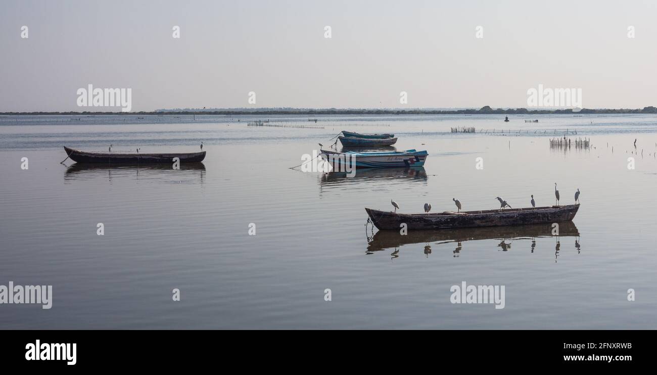 Ruhige Meereslandschaft mit Booten im Wasser in Palk Bay, Jaffna, Sri Lanka Stockfoto