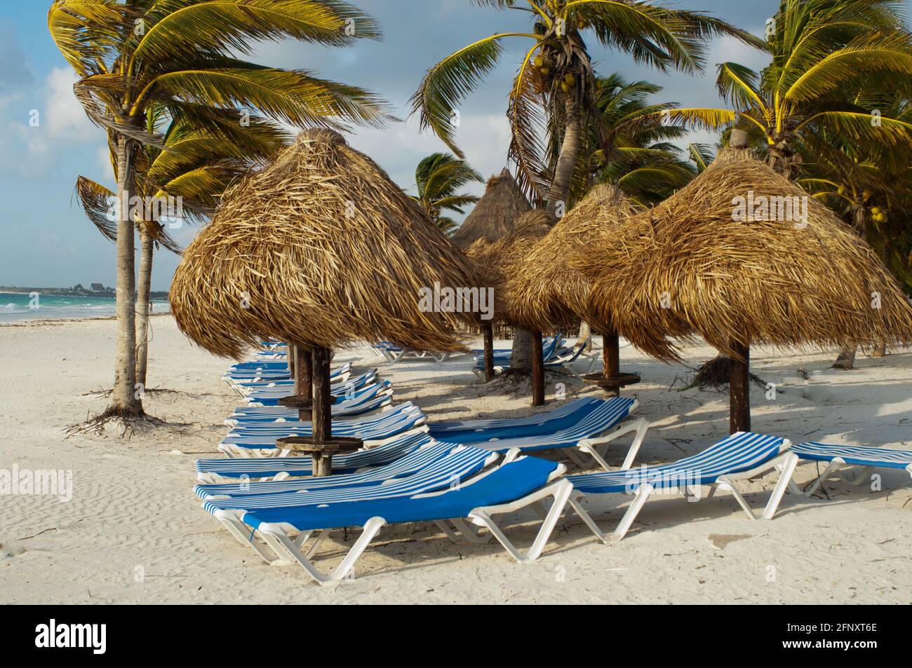 Palapas und Liegestühle am Strand Xpu-Ha, mexikanisch-karibisch Stockfoto