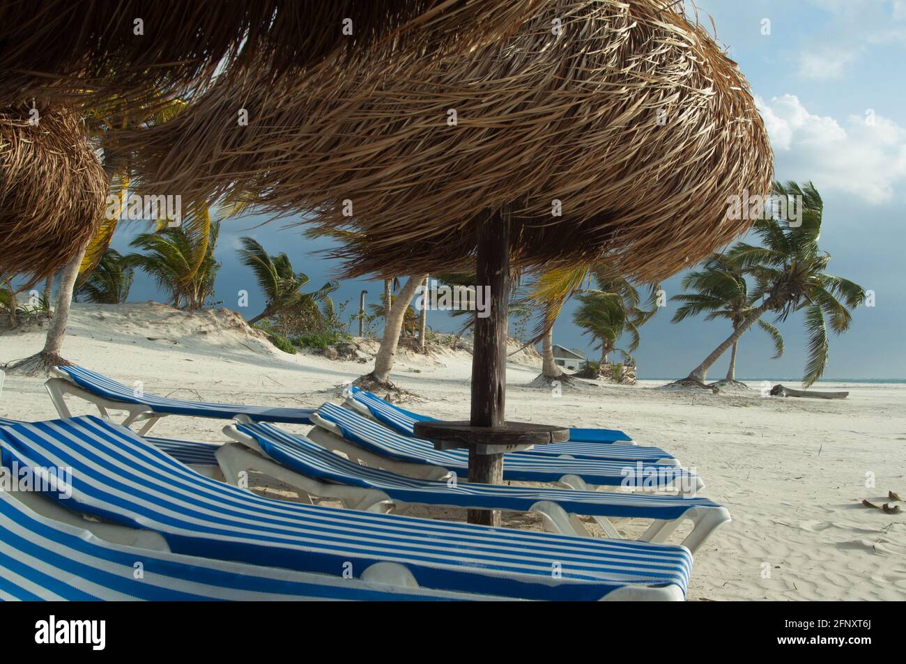 Palapas und Liegestühle am Strand Xpu-Ha, mexikanisch-karibisch Stockfoto