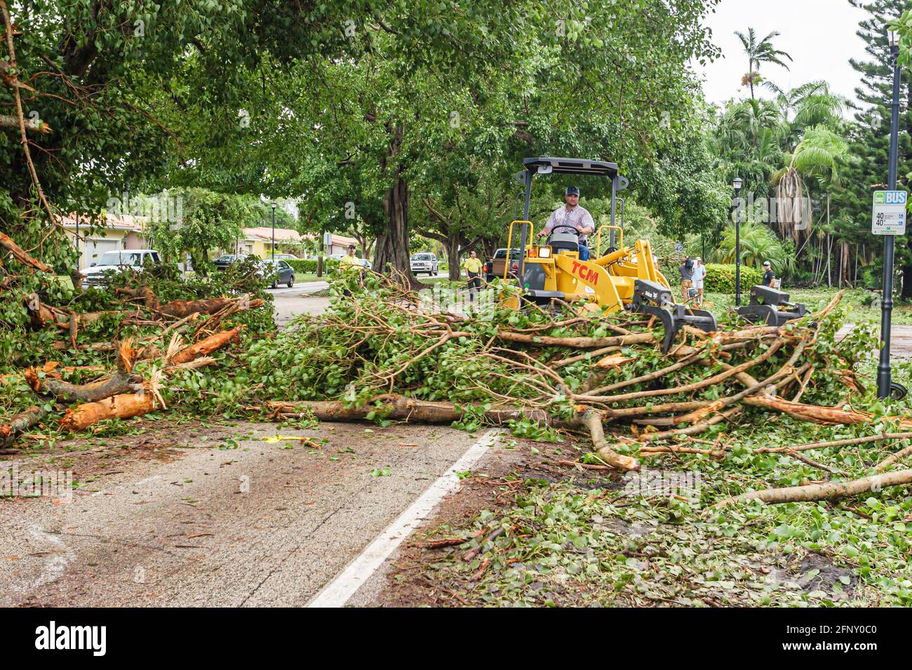 Miami Florida, Coral Gables Hurrikan Katrina Schaden, Stadtarbeiter entfernen umherstürzte Bäume Baggerlader, Stockfoto