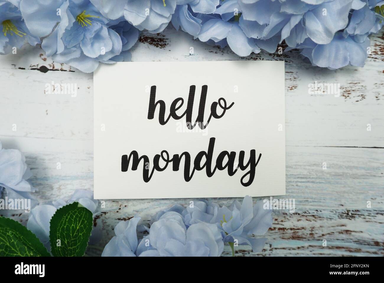 Hello Monday Card mit blühender Blume auf Holzhintergrund Stockfoto