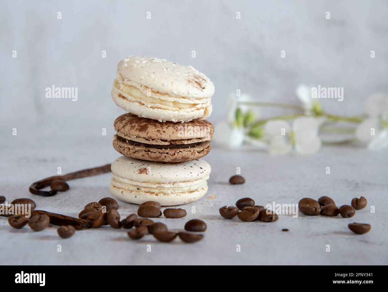 Kaffee und Vanille-Makronen sind in einer Pyramide auf einem hellgrauen Hintergrund gestapelt. Dekoriert mit Kaffeebohnen, Vanilleschote und Blumen. Speicherplatz kopieren für Stockfoto