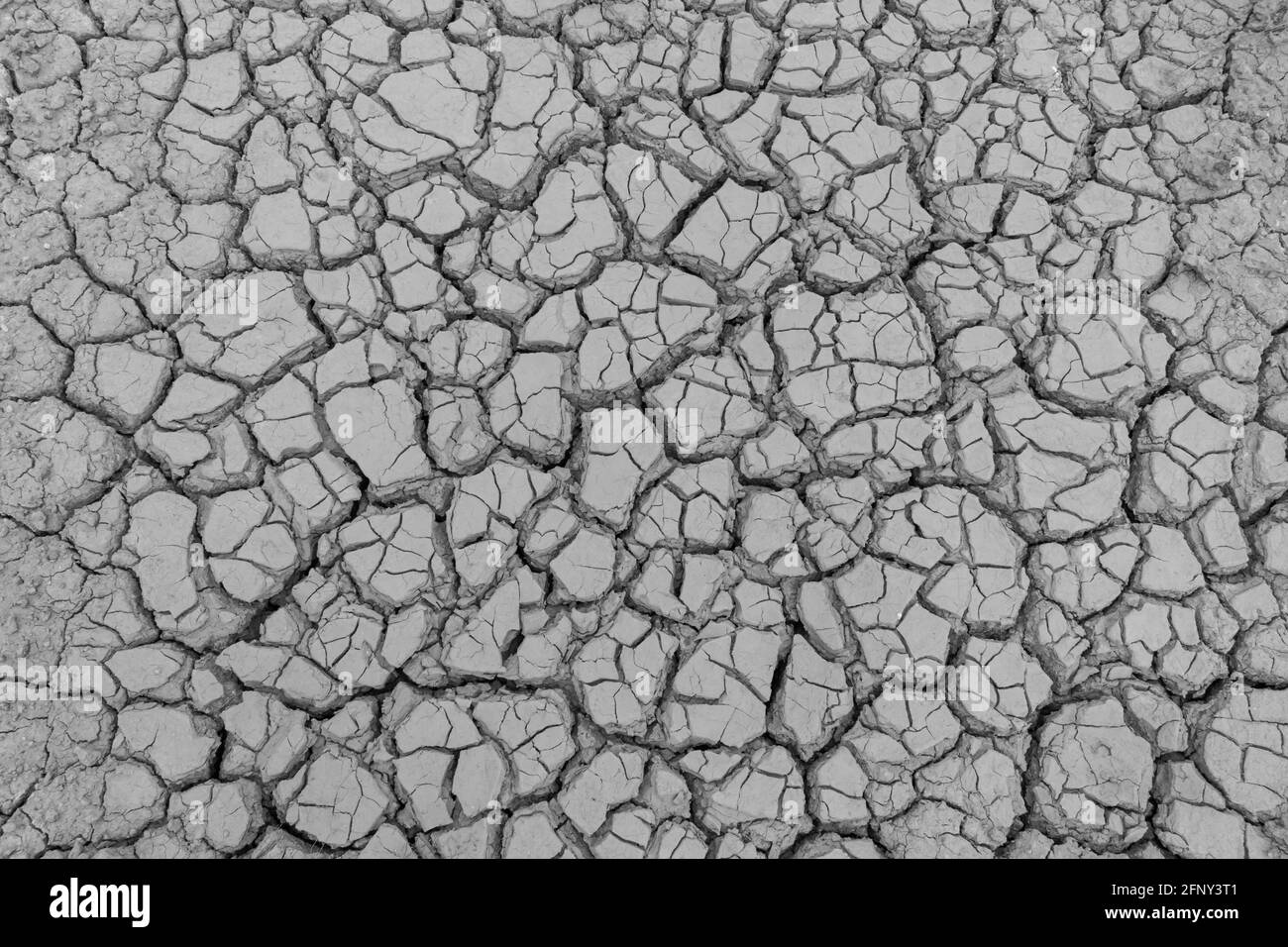 Crack Earth/Crack Soil on Dry Season/Global worming Effect Background Stockfoto