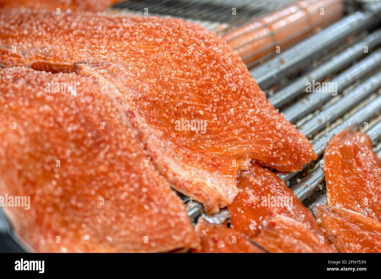 Auf dem Förderband liegen viele Stücke Rotfischfilet. Der Fisch ist mit einer Schicht groben Salzes bedeckt Stockfoto