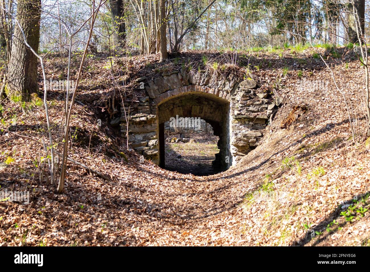 Altes Steintor mit gewölbtem Gewölbe im Wald Stockfoto