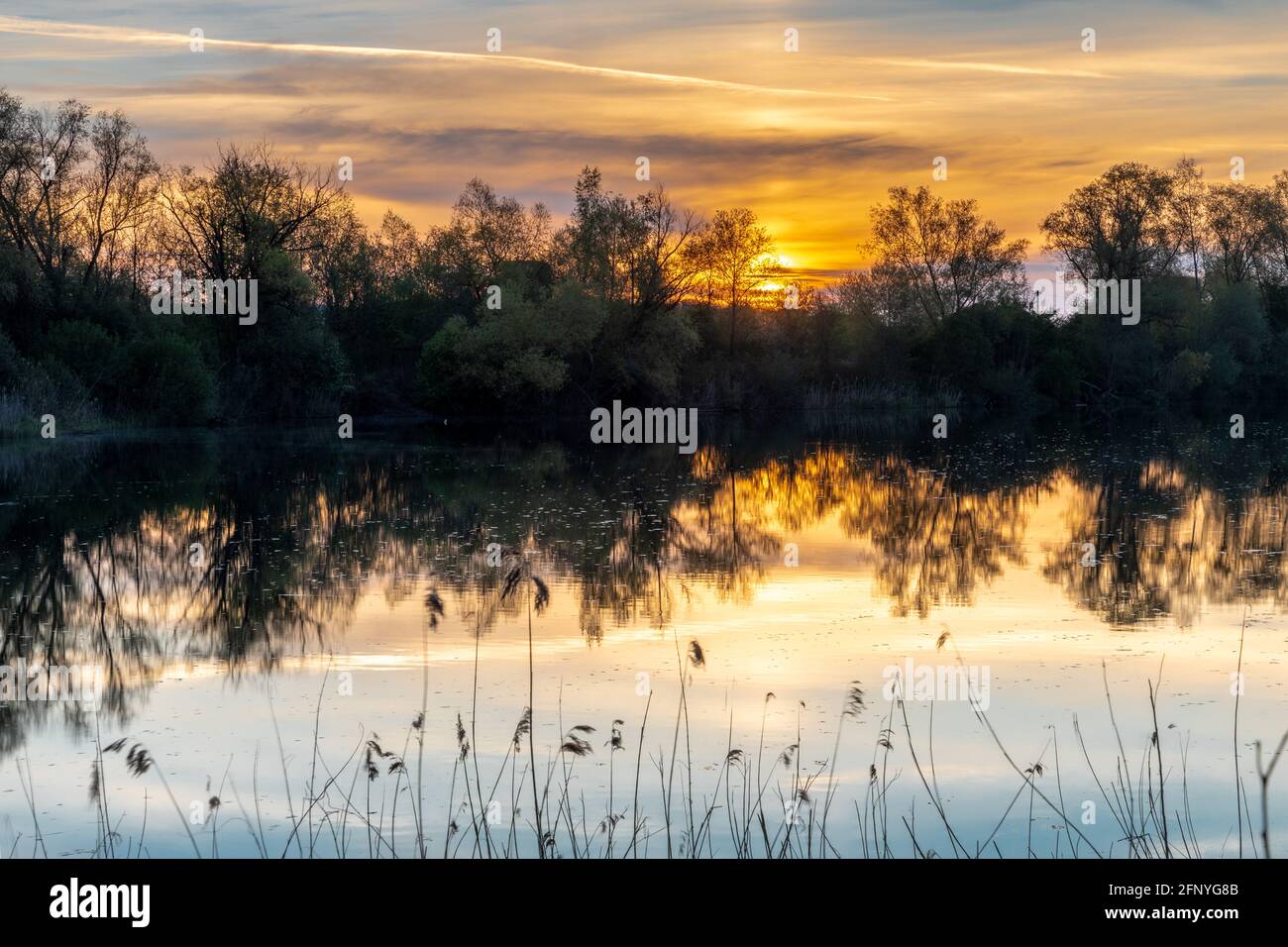 Sonnenaufgang an einem kleinen See in Bayern, Deutschland Stockfoto