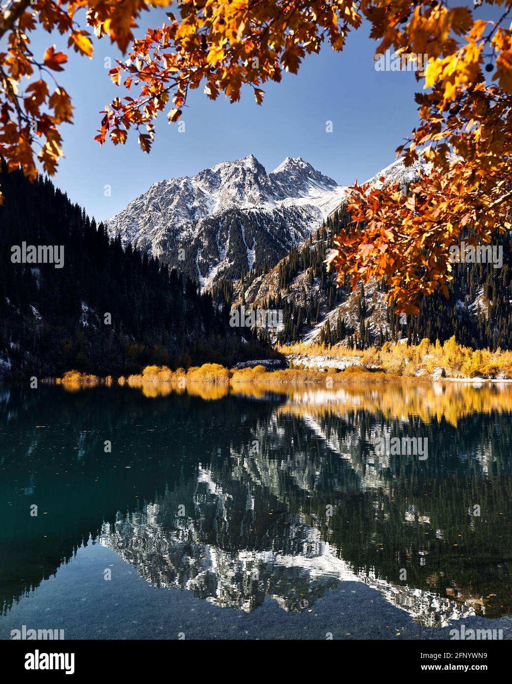 Berglandschaft von Herbstwald mit gelben Bäumen und Schnee Weißer Gipfel mit Spiegelung am Issyk-See in Kasachstan Stockfoto