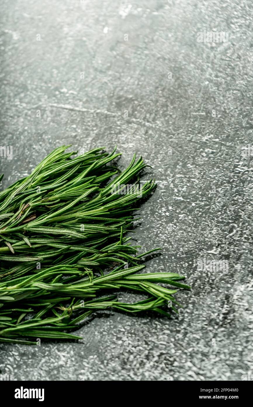 Hintergrund des Essens. Natürliche Würze. Heller Geruch und reicher Geschmack. Grüner Rosmarin. Auf dunklem Hintergrund, satte grüne Farbe. Draufsicht, Makro Stockfoto