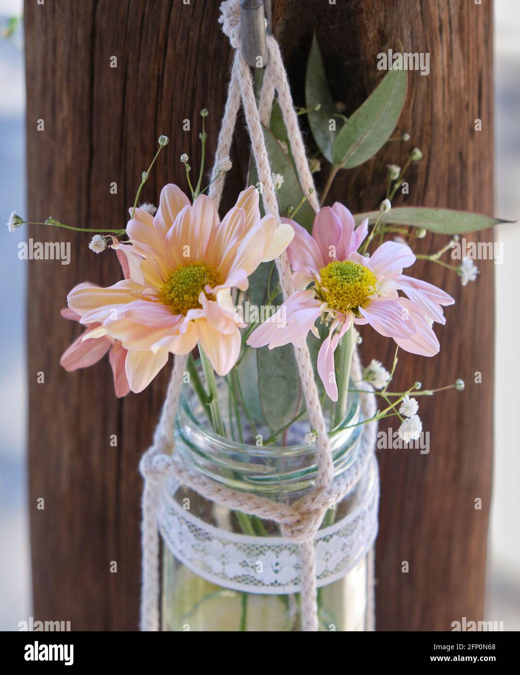 Rustikale Einrichtung für eine Hochzeit mit pastellfarbenen Gänseblümchen und Eukalyptusblätter in Gläsern Stockfoto
