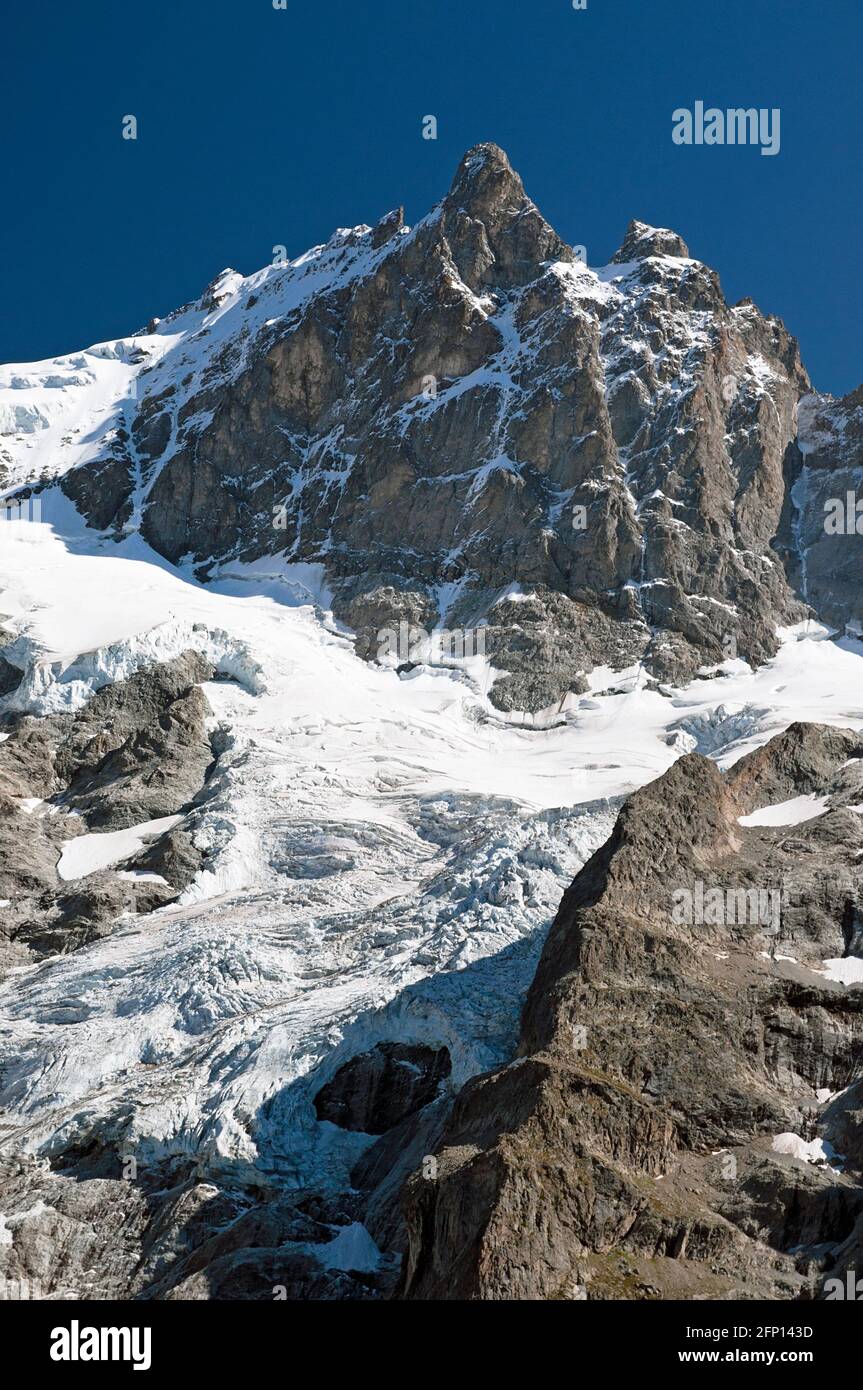 La Meije (3984 m) und Gletscher im Ecrins-Nationalpark, gelegen an der Grenze der Hautes-Alpes (05) und Isère (38), Alpen, Frankreich Stockfoto