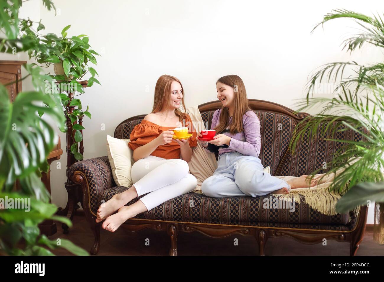 Junge zufriedene Frauen sitzen auf gemütlichen altmodischen Couch und Plaudern Sie, während Sie heißen Tee zwischen Blumentöpfen trinken Stockfoto