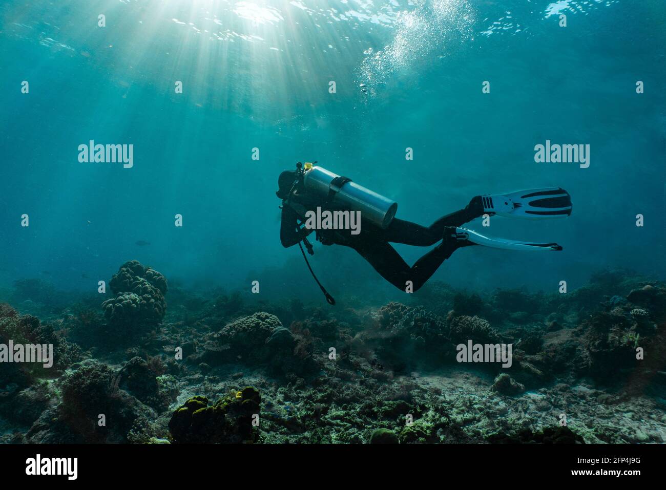 tauch beim Erkunden des klaren Ozeans bei Raja Ampat / Indonesien Stockfoto