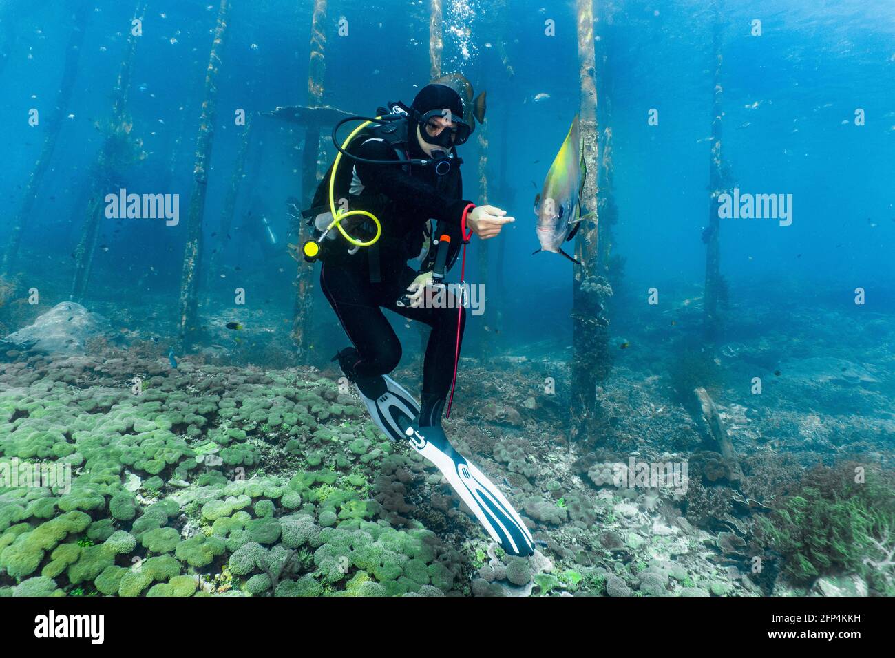 tauch beim Erkunden des klaren Ozeans bei Raja Ampat / Indonesien Stockfoto