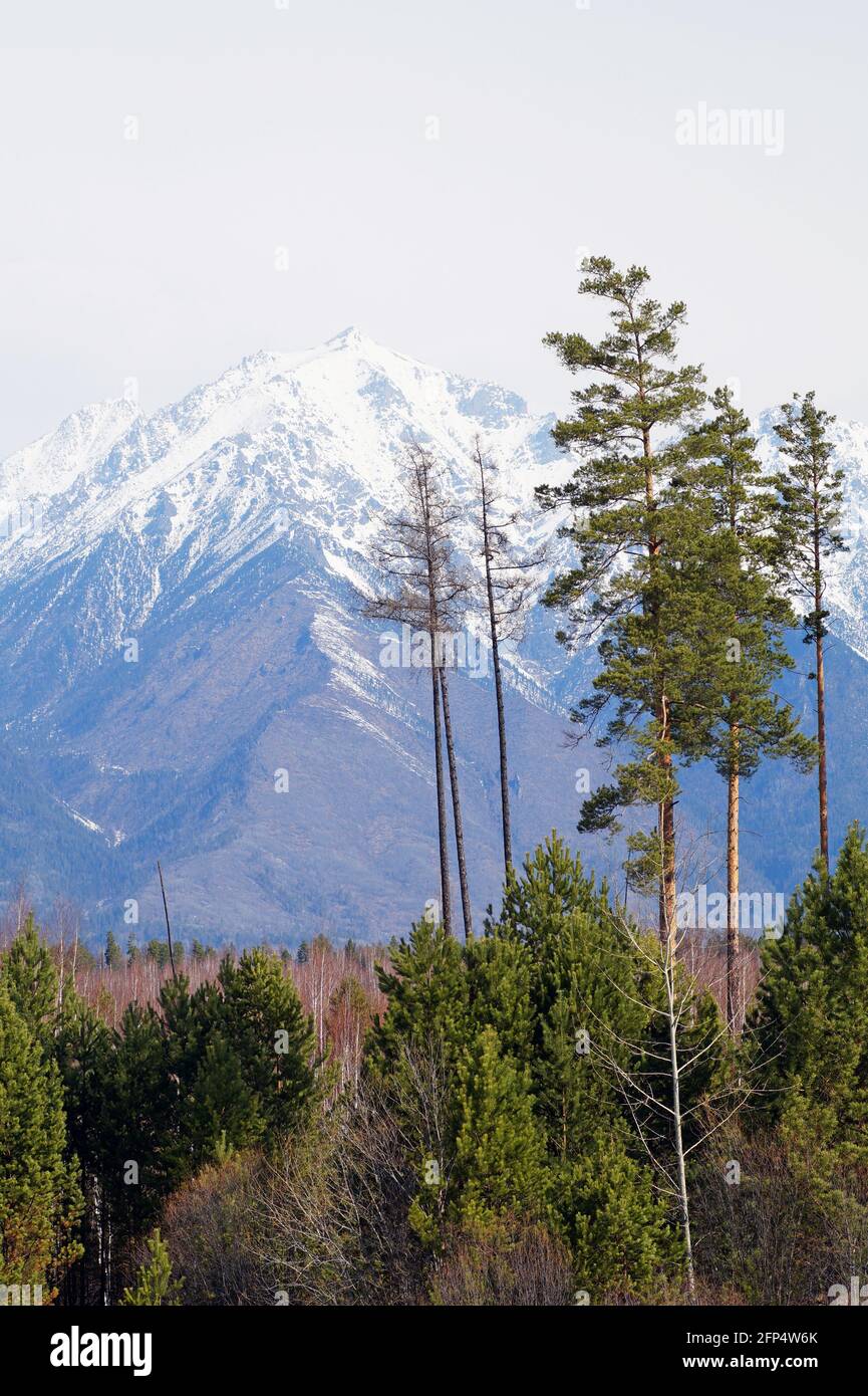 Blick auf die Sayan Mountains im Tunka Tal Stockfoto