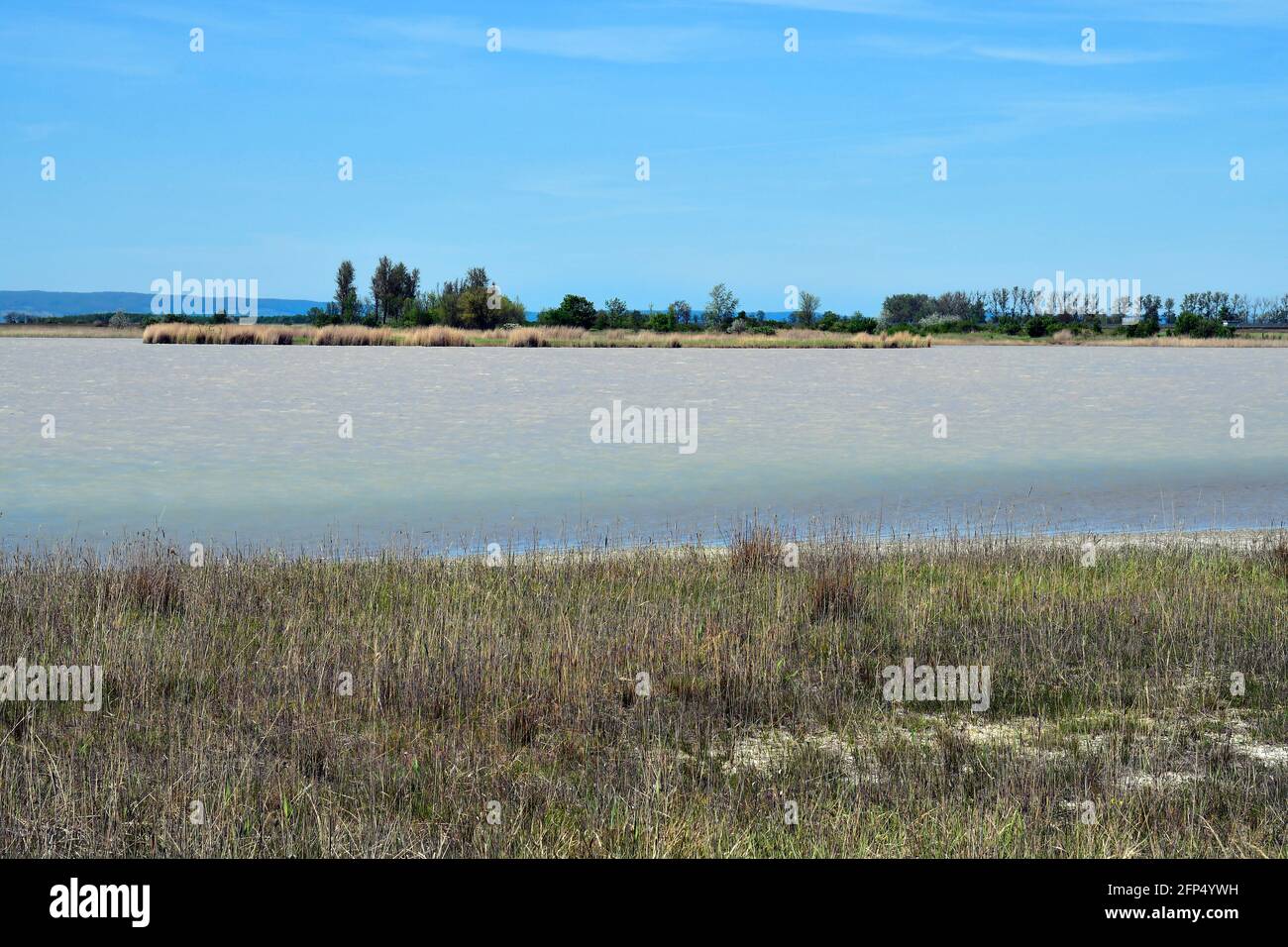 Österreich, winziger See im Nationalpark Neusiedler See-Seewinkel, Teil der eurasischen Steppe im Burgenland und Teil der internationalen Union für Konservati Stockfoto