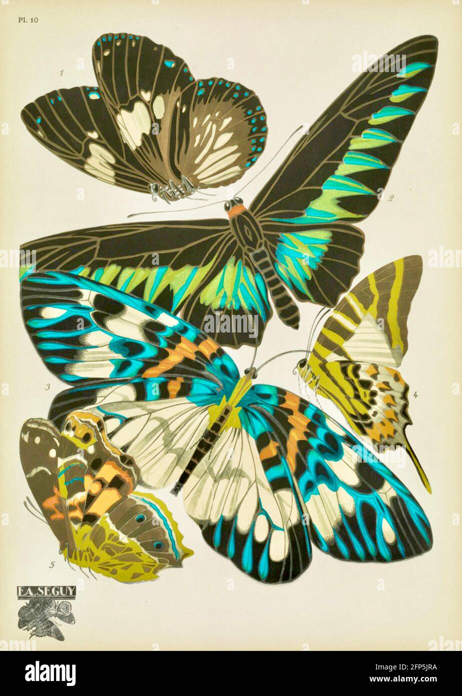 Emile Allain Séguy dekorative Schmetterlingskunst aus den 1920er Jahren. Stockfoto