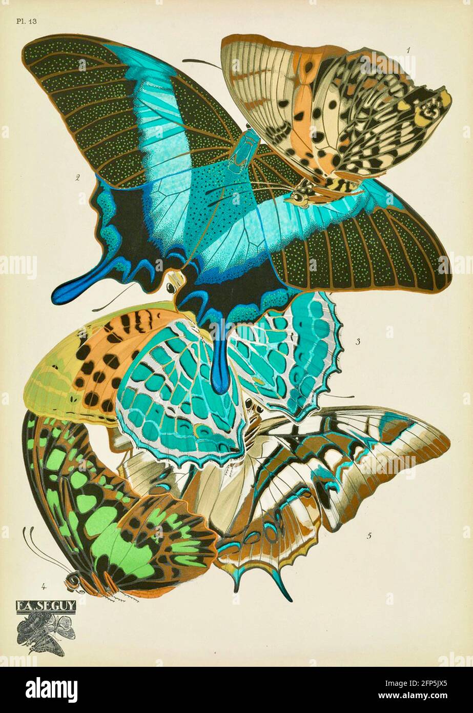 Emile Allain Séguy dekorative Schmetterlingskunst aus den 1920er Jahren. Stockfoto