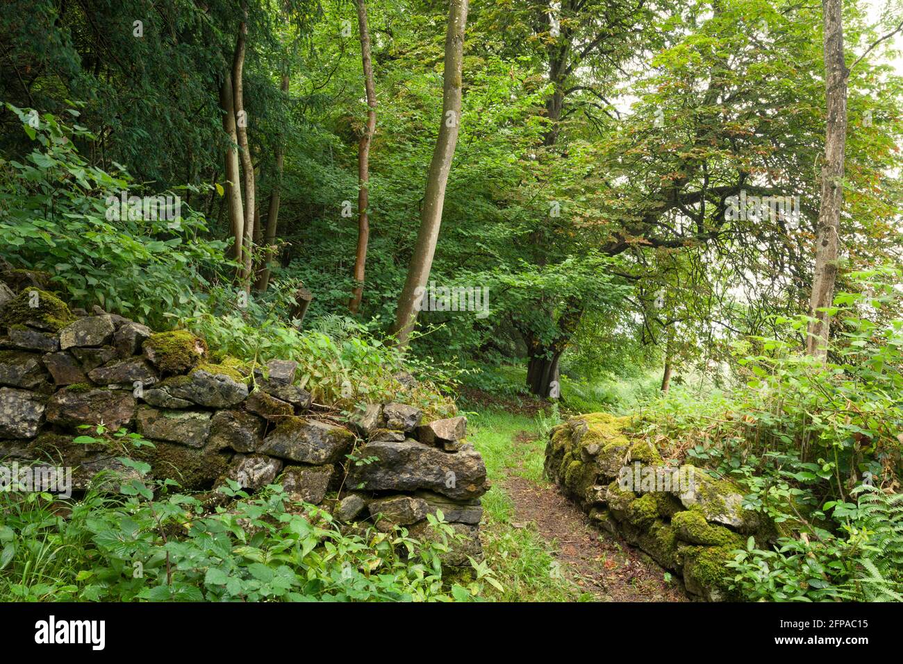 The Lookout at Dolebury Warren in der Mendip Hills National Landscape, Somerset, England. Stockfoto