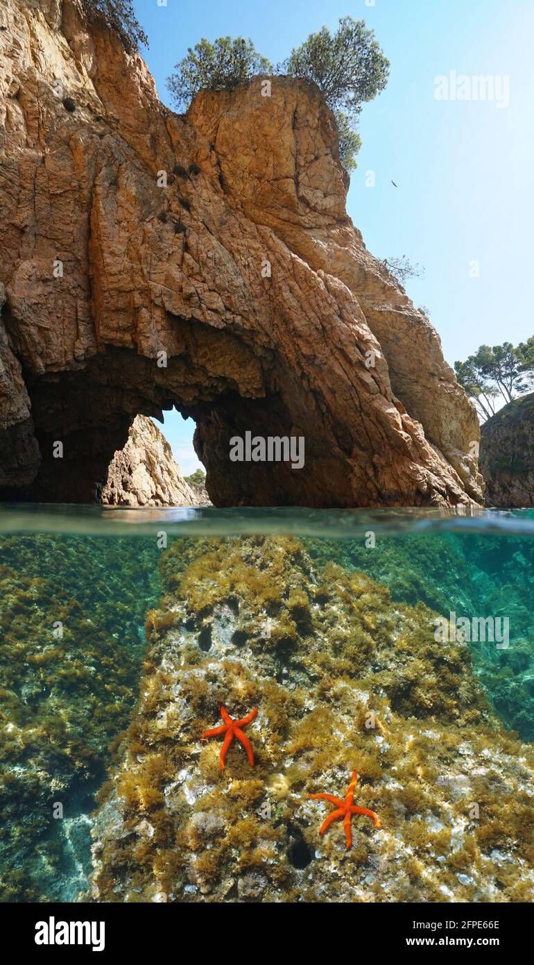 Naturbogen an der felsigen Küste mit Seesternen unter Wasser, Split-Ansicht über und unter Wasser, Mittelmeer, Spanien, Costa Brava, Katalonien, Palamos Stockfoto