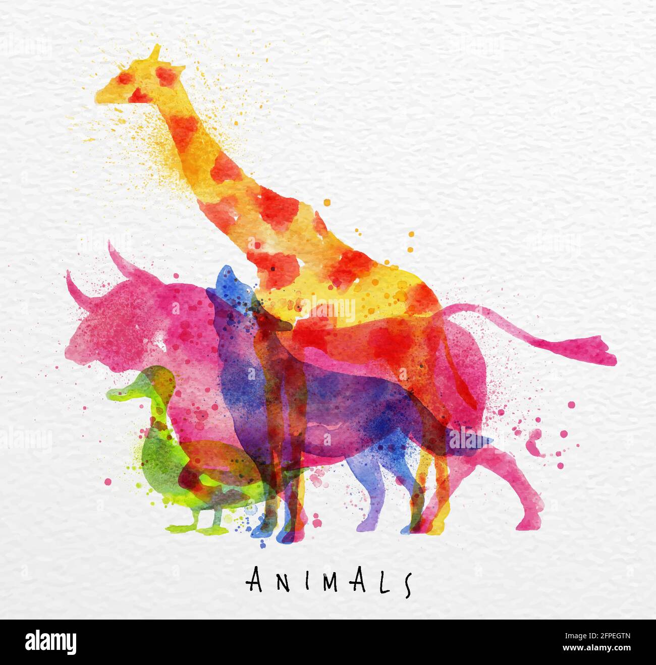 Farbe Tiere, Giraffe, Wolf, Ente, Stier, Zeichnung Aufdruck auf Aquarell Papier Hintergrund Schriftzug Tiere Stock Vektor