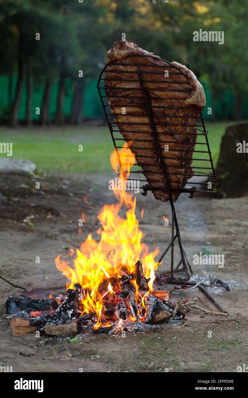 Fleisch auf dem Spieß oder Asado auf dem Scheiterhaufen. Bbq. Auf den Kohlen grillen. Traditionelles argentinisches Barbecue. Stockfoto