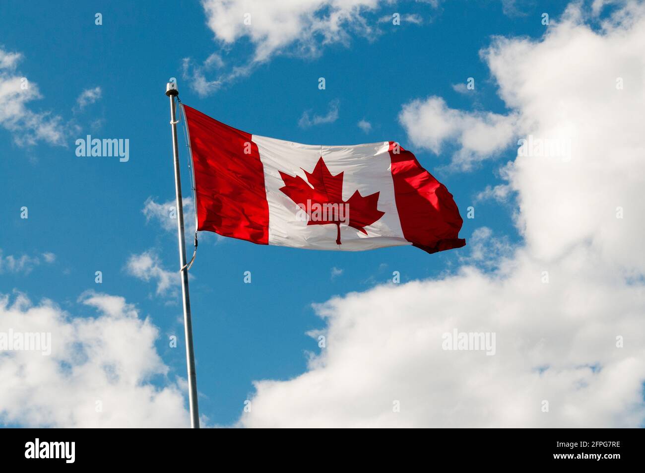 Die kanadische Flagge oder Maple Leaf, die gegen einen blauen Himmel mit weißen Wolken fliegt. Stockfoto