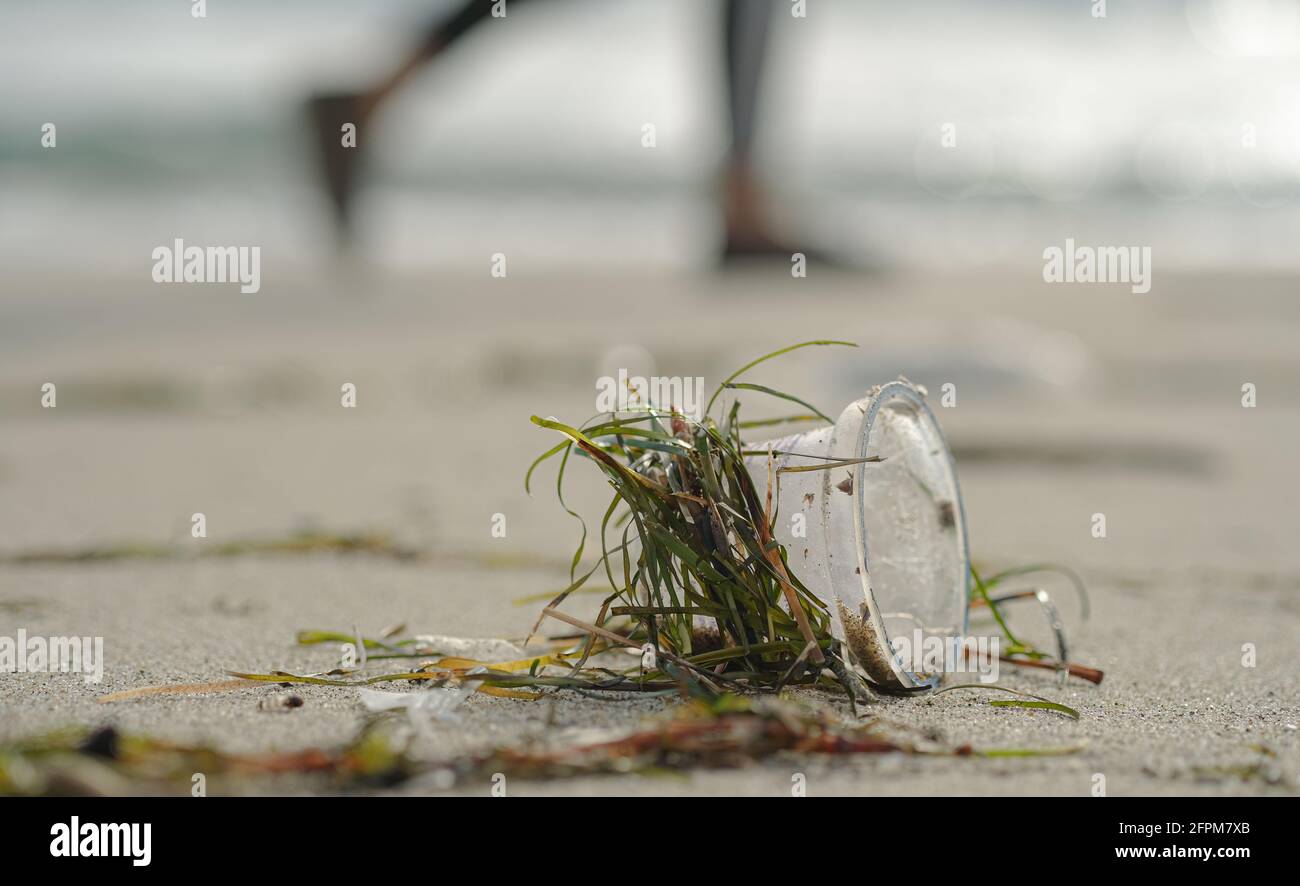 Einweg-Plastikbecher auf Meeresküste Ökosystem mit Wandern weggeworfen Menschen im Hintergrund, verschmutzte Natur Stockfoto