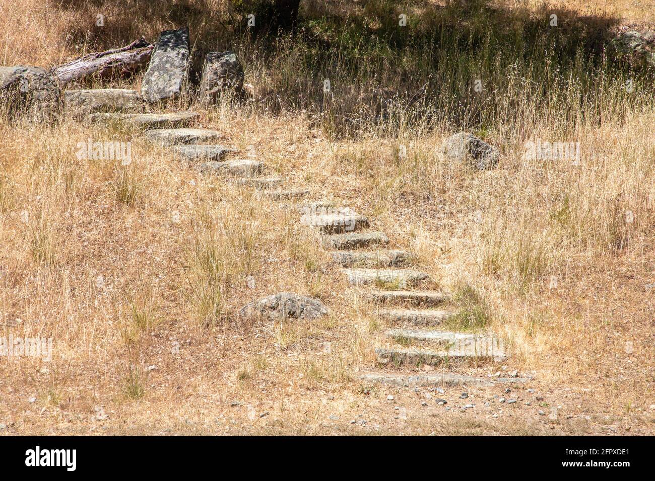 Der Mount Tamalpais erhebt sich entlang der Küste des Marin County, Nordkalifornien und bietet malerische Landschaften, bewaldete Hügel und den weiten Pazifik - Stockfoto