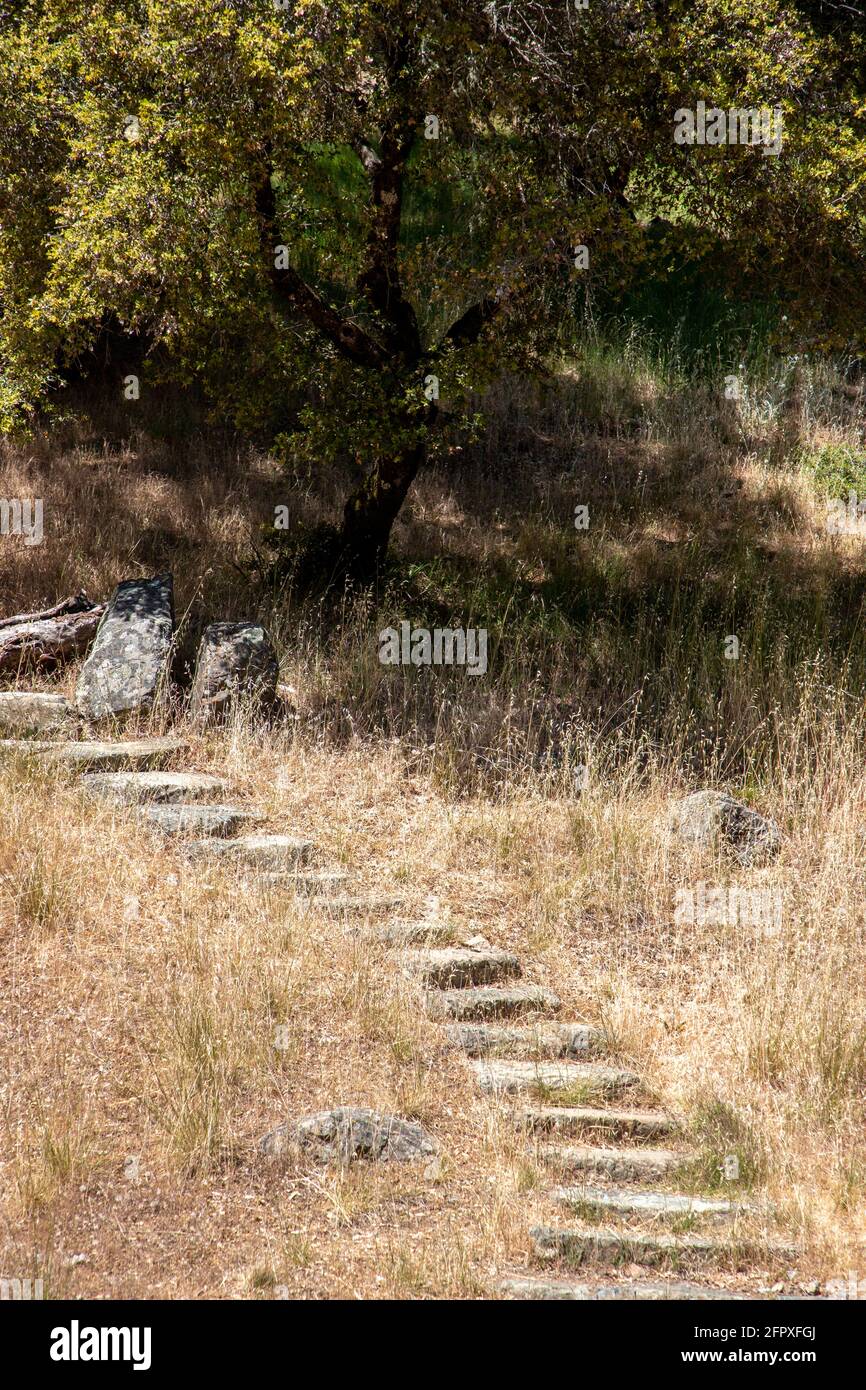 Der Mount Tamalpais erhebt sich entlang der Küste des Marin County, Nordkalifornien und bietet malerische Landschaften, bewaldete Hügel und den weiten Pazifik - Stockfoto